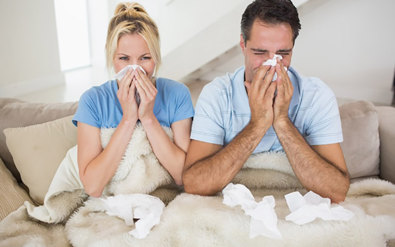 Breathe Easier at Home By Improving Your Indoor Air Quality
